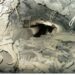 Predicción de Rockburst en minería subterránea: revisión de métodos empíricos aplicados a El Teniente