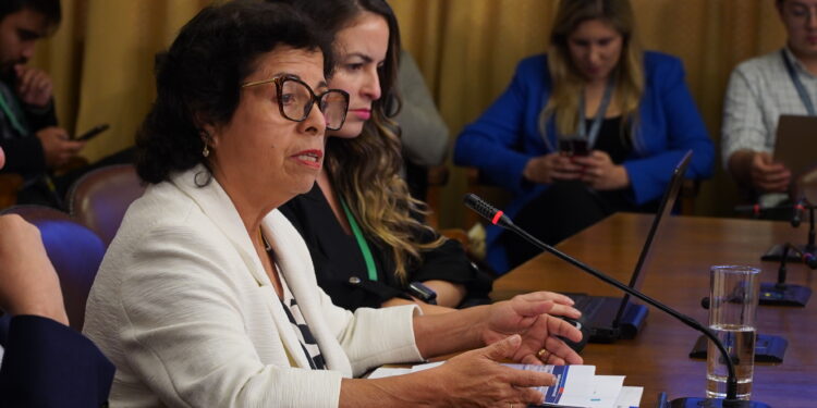 Ministra de Minería impulsa modernización del gobierno corporativo de ENAMI con nuevo proyecto de ley