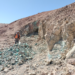 Radius Gold amplía significativamente el potencial del proyecto de cobre Tierra Roja en Perú