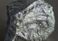 Planta piloto industrial con hidrógeno: Primetals Technologies y aliados avanzan hacia la descarbonización del acero