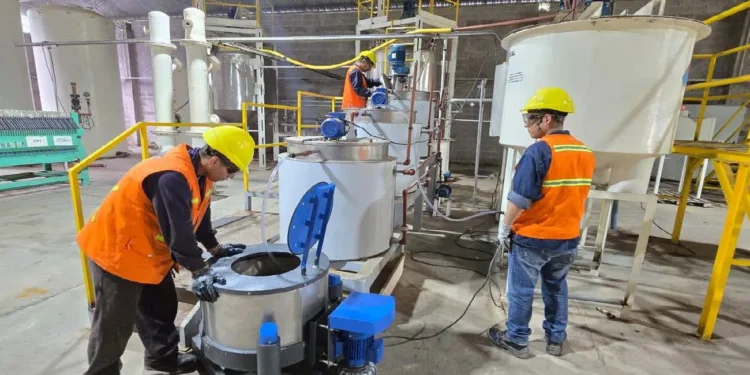 Argentina: Pursuit Minerals logra la primera producción de carbonato de litio de alta pureza en Salta