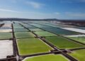 Alianza Codelco-SQM para litio recibe sobre un 80% de aprobacion