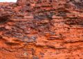 Rio Tinto y Hancock invertirán US$1.600 millones en Hope Downs 2 en Pilbara
