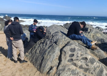 Estudiantes de Metalurgia analizan rocas en Isla Negra