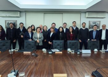 Cochilco aprueba CEOL Salares Altoandinos en Estrategia del Litio