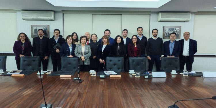 Cochilco aprueba CEOL Salares Altoandinos en Estrategia del Litio