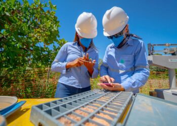 Aclara recibe inversión de DFC para proyecto Carina