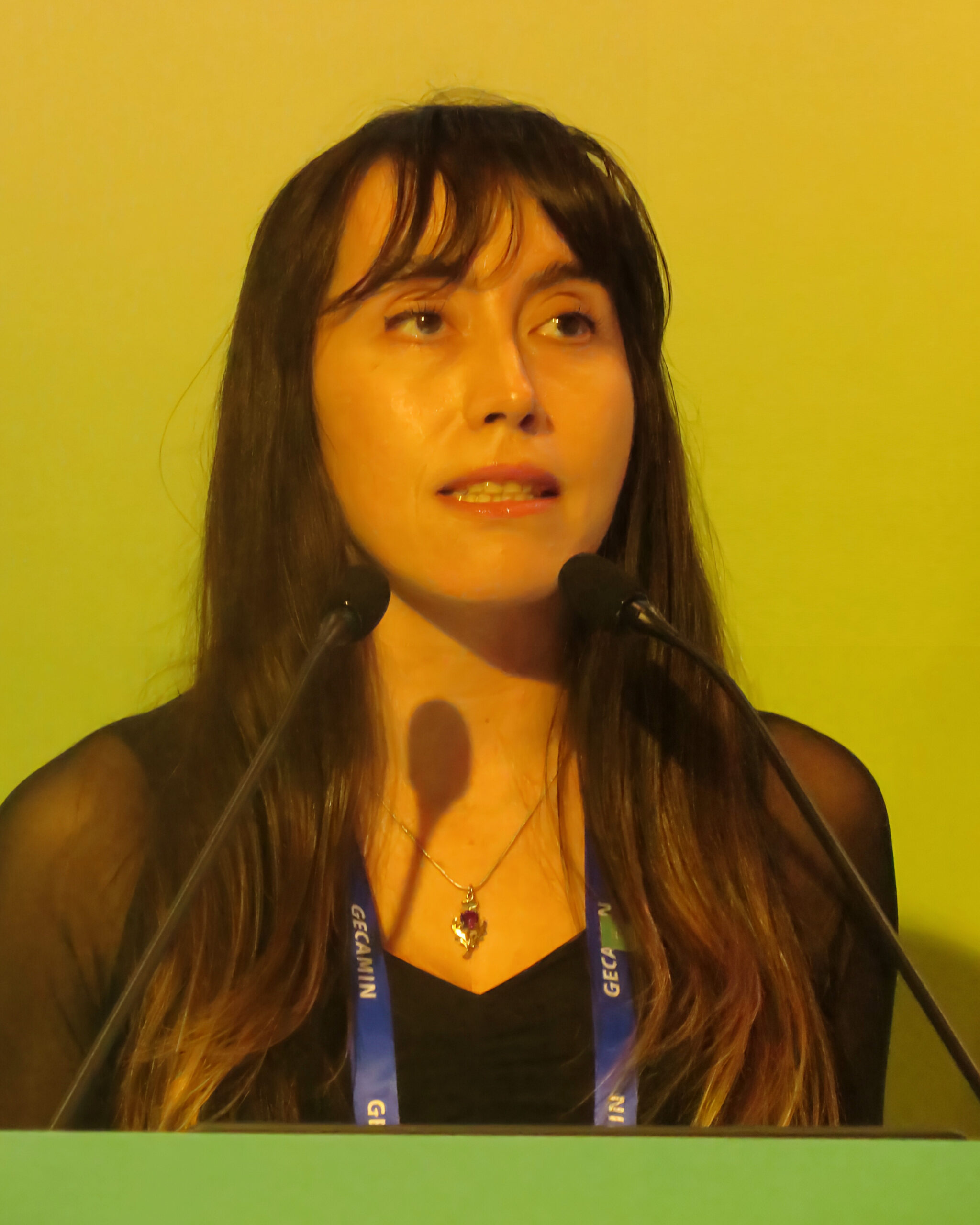 Mimy Mackenzie, gerente de Conferencias de Gecamin. Foto: InfoMINERÍA