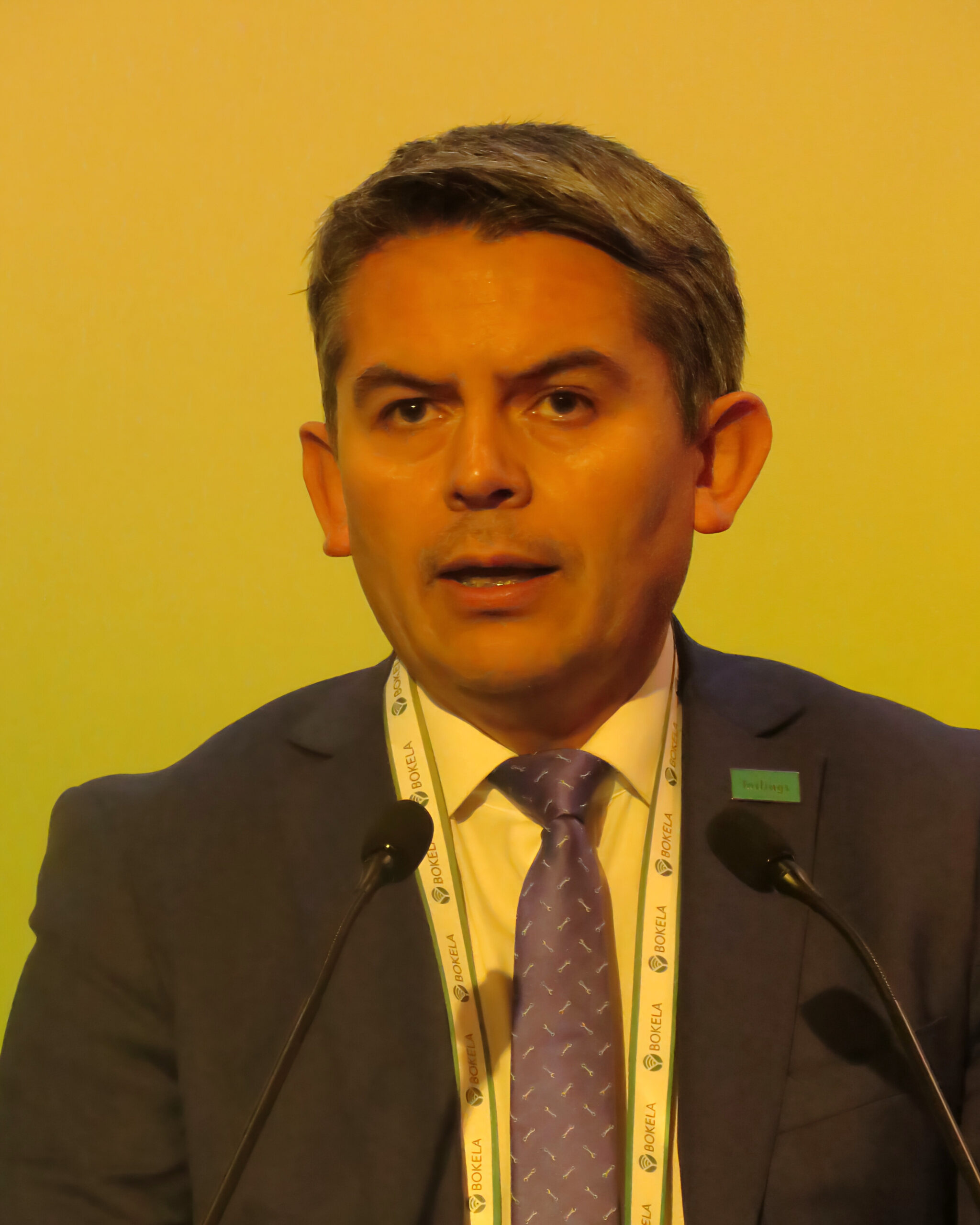 Andrés León, Director Nacional (S) de Sernageomin. Foto: InfoMINERÍA