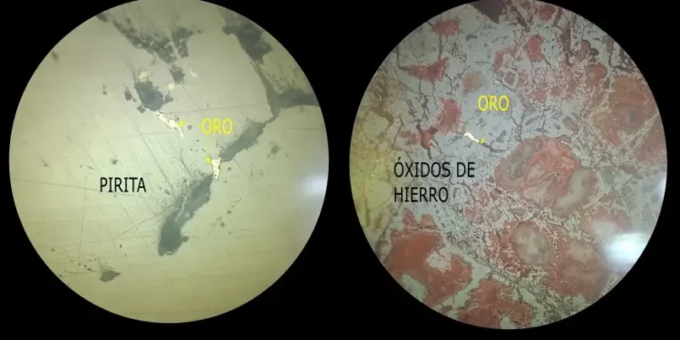 Microfotografías de oro bajo el microscopio calcográfico. En la sección de la izquierda se observa el oro dentro de la pirita y en la sección de la derecha se lo observa asociados a óxidos de hierro.
