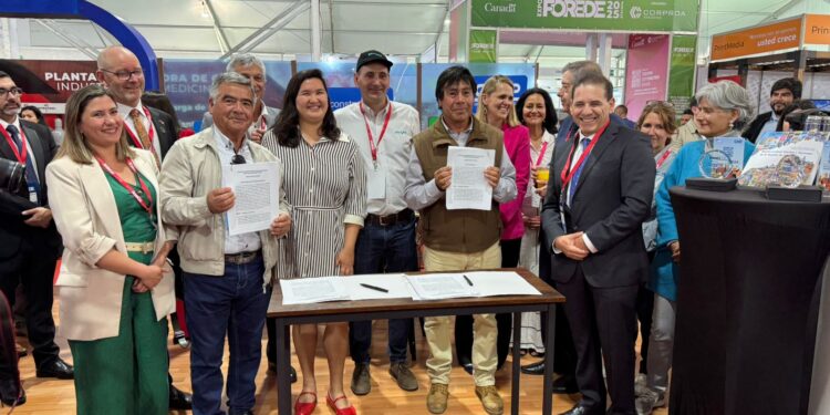 convenio mineras