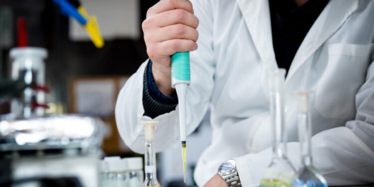 investigadores