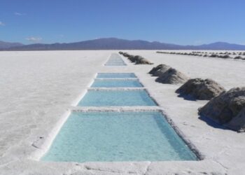 proyecto de litio Salta