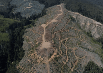 Minera Aclara desmiente categóricamente rumores que la vinculan con incendios forestales en Penco