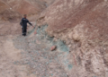 Radius Gold acelera permisos en Tierra Roja y redefine su estrategia de exploración