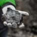 Valmet Adquiere Grupo Severn por US$ 480 millones para dominar el mercado de válvulas críticas