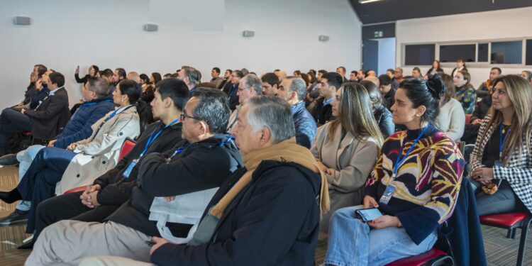Aclara lanza fondo urgente para rescatar a emprendedores afectados por incendios en Penco