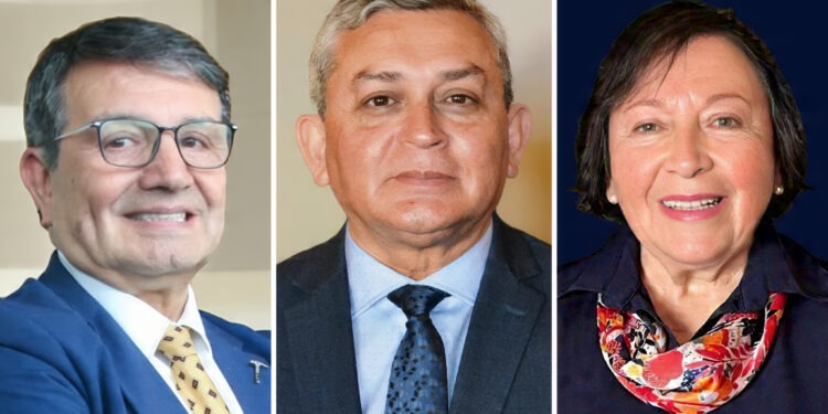 Manuel Viera, presidente de la Cámara Minera de Chile; Patricio Cartagena, presidente de CAMMIN; y Patricia Narváez, presidenta de FEXMIN. Créditos: gentileza de las organizaciones.