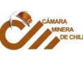 Cámara Minera de Chile solicita suspensión y revisión del régimen de amparo