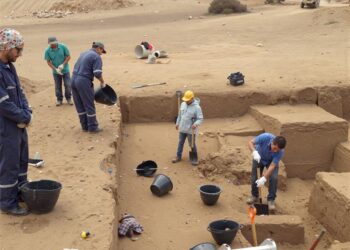 Sector público y privado se reúnen en seminario sobre desafíos arqueológicos y paleontológicos frente a proyectos en Chile