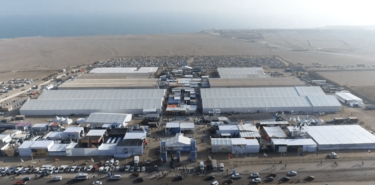 Créditos: EXPONOR