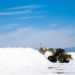 Informe de sostenibilidad Albemarle