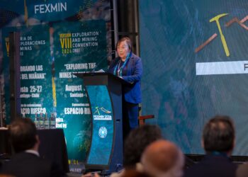 Patricia Narváez, Presidente FEXMIN
