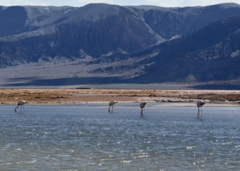 alt: "proyecto Kachi de litio en el Salar de Carachi Pampa, Catamarca, con tecnología DLE de Lilac"