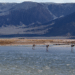 alt: "proyecto Kachi de litio en el Salar de Carachi Pampa, Catamarca, con tecnología DLE de Lilac"